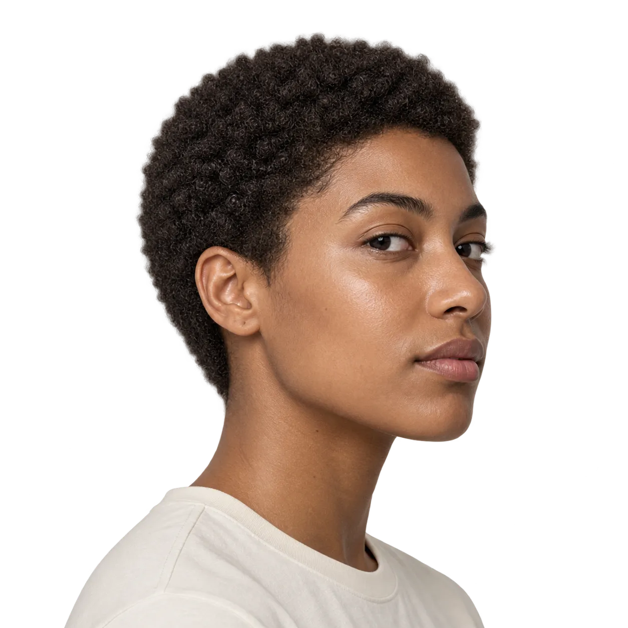 Transparent editorial reference showing a compact cropped afro with a neat silhouette.