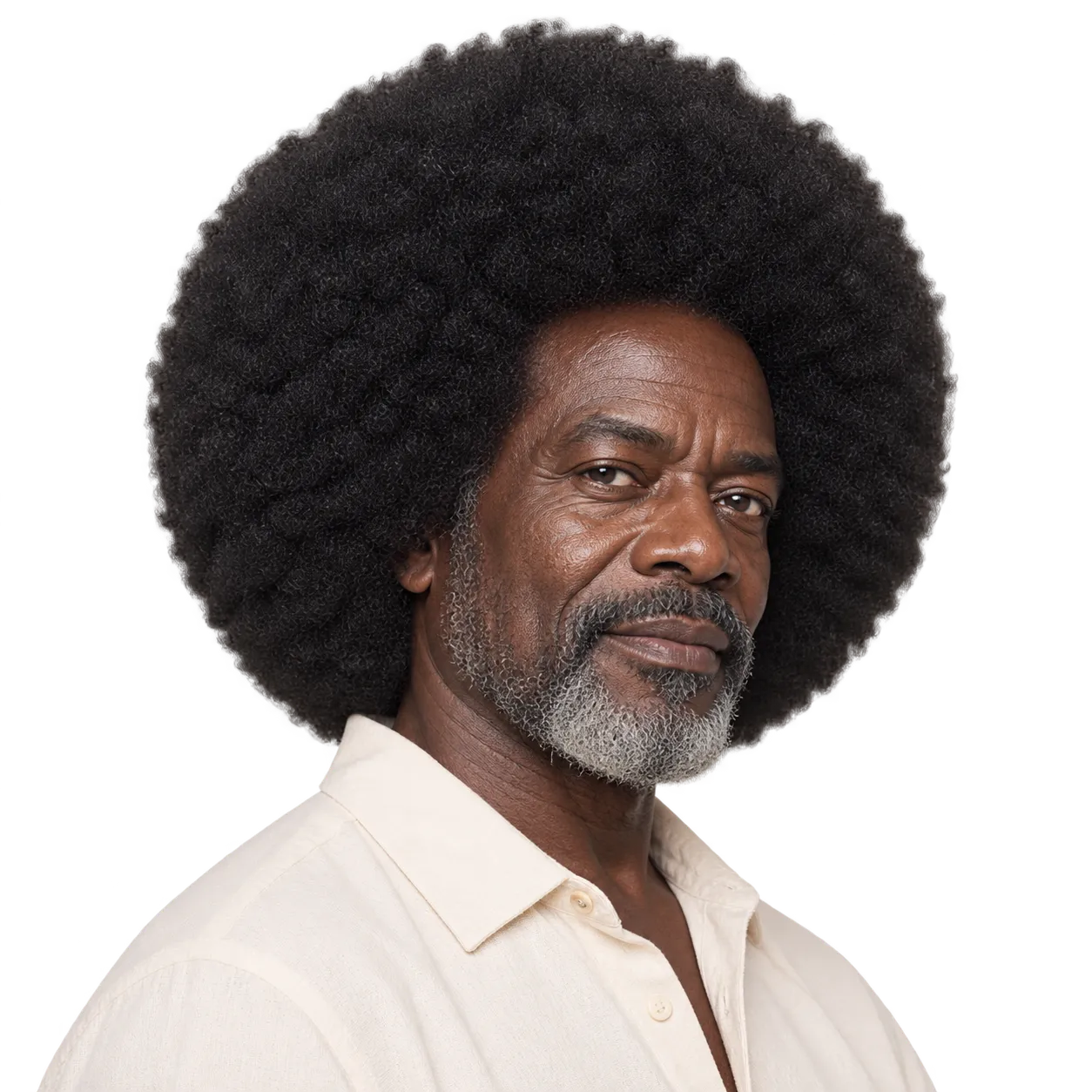 Fictional dark-skinned African man in his late 60s with a large dense black Afro shaped into a near-spherical silhouette.