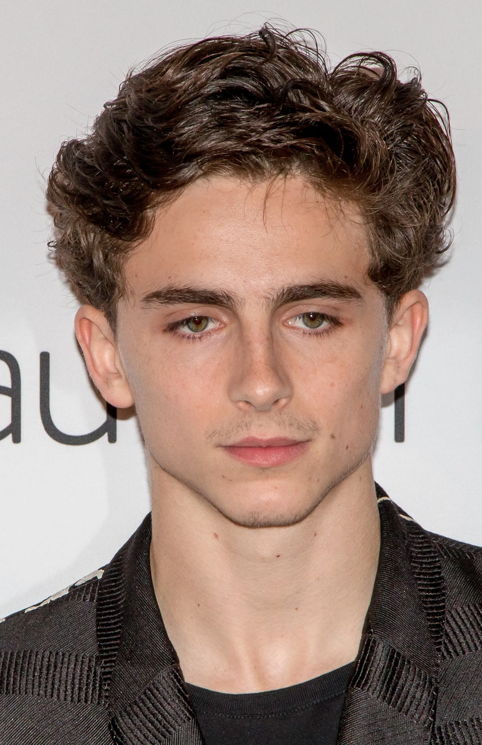 Timothée Chalamet with medium-length curls at the 2018 Toronto International Film Festival