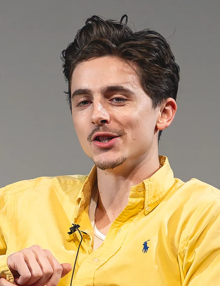 Timothée Chalamet with short swept-back textured hair at BFI Southbank on 18 December 2024